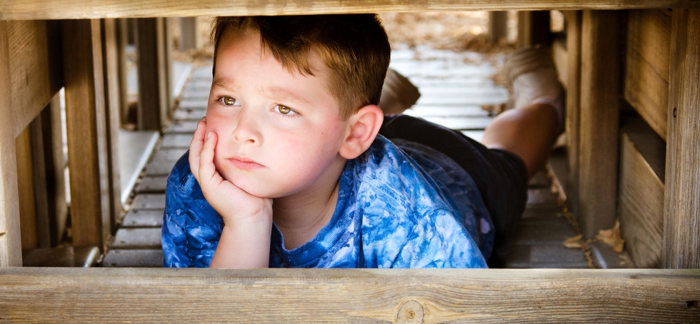 Put alternative text here : no